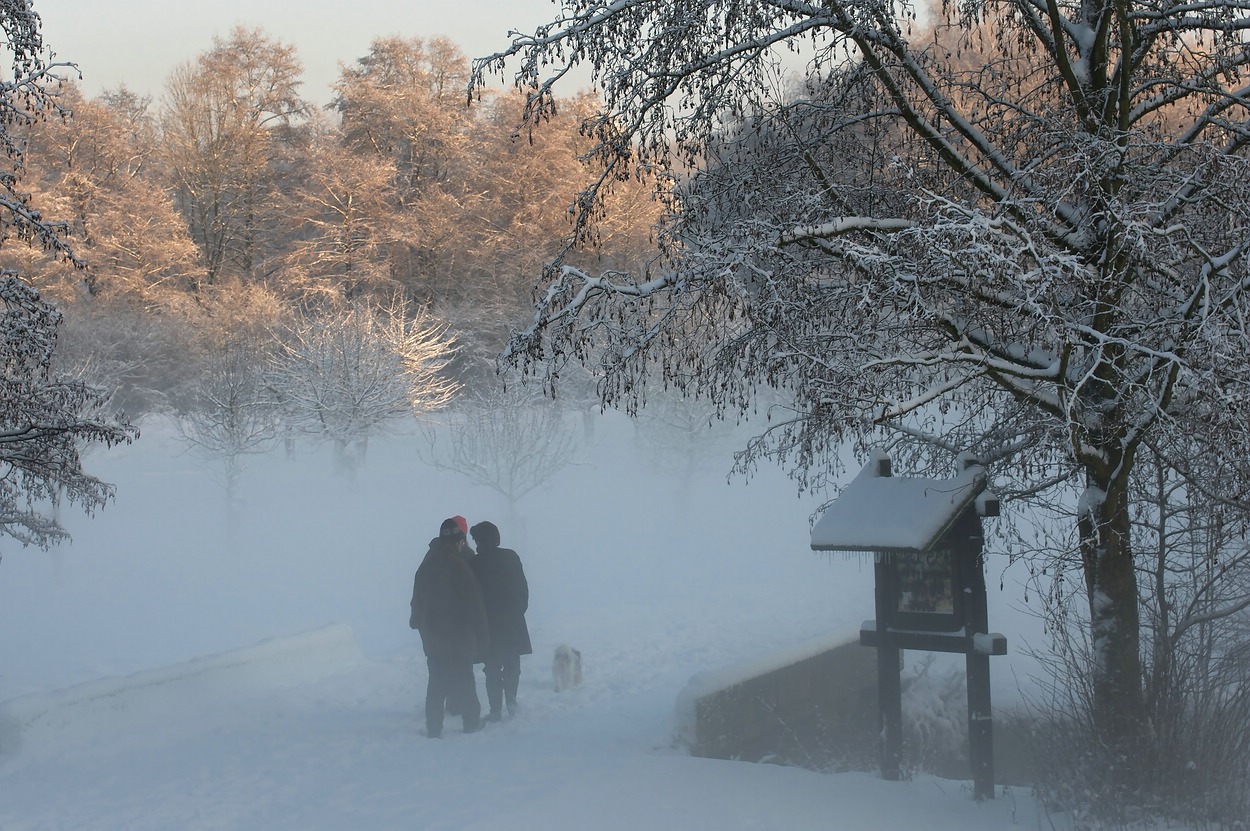 Winterwunderland