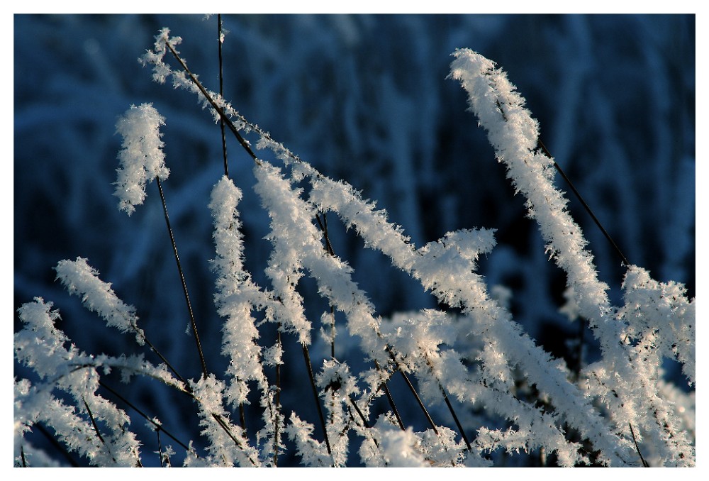 Winterwunderland