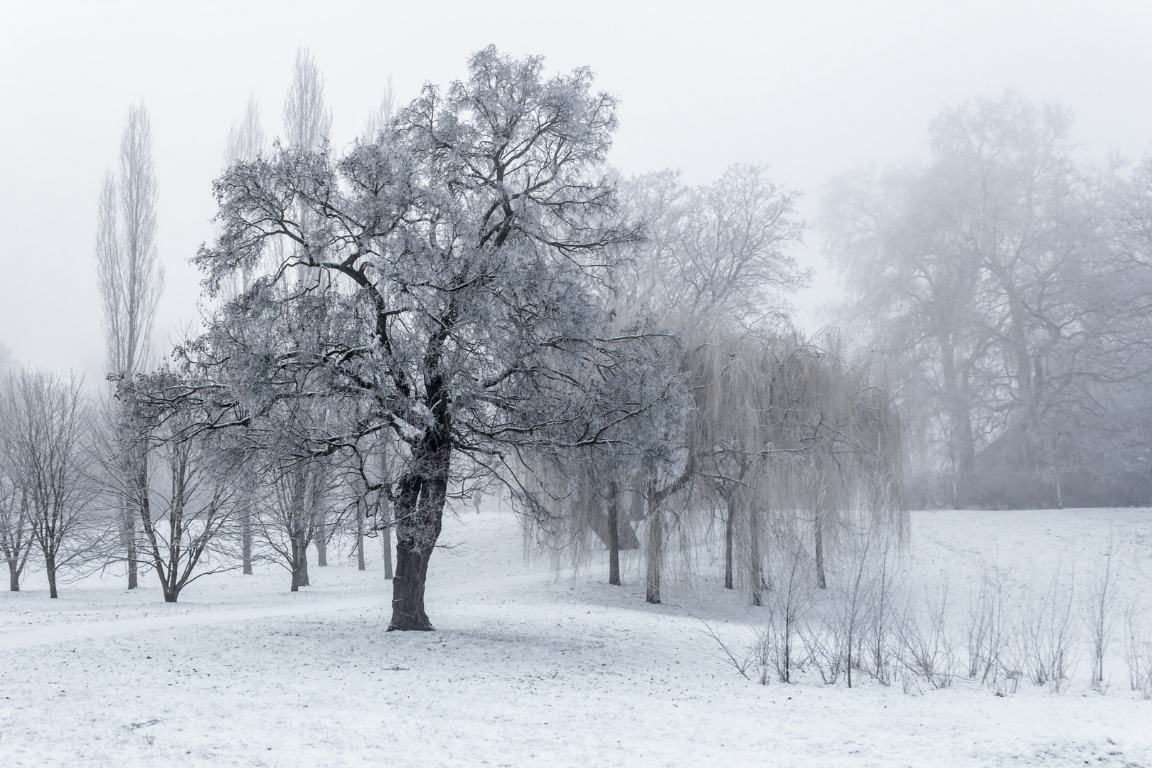 Winterwunderland