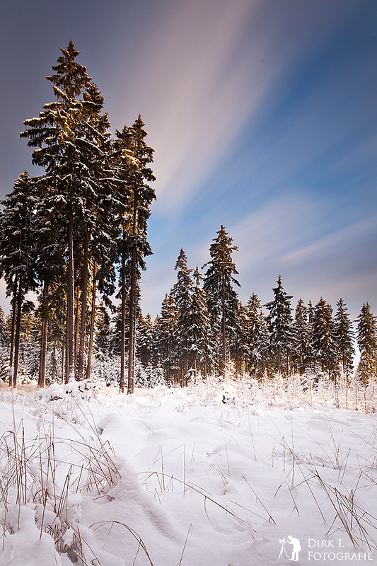 ***Winterwunderland***