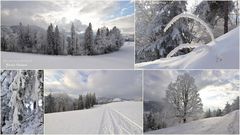 Winterwunderland