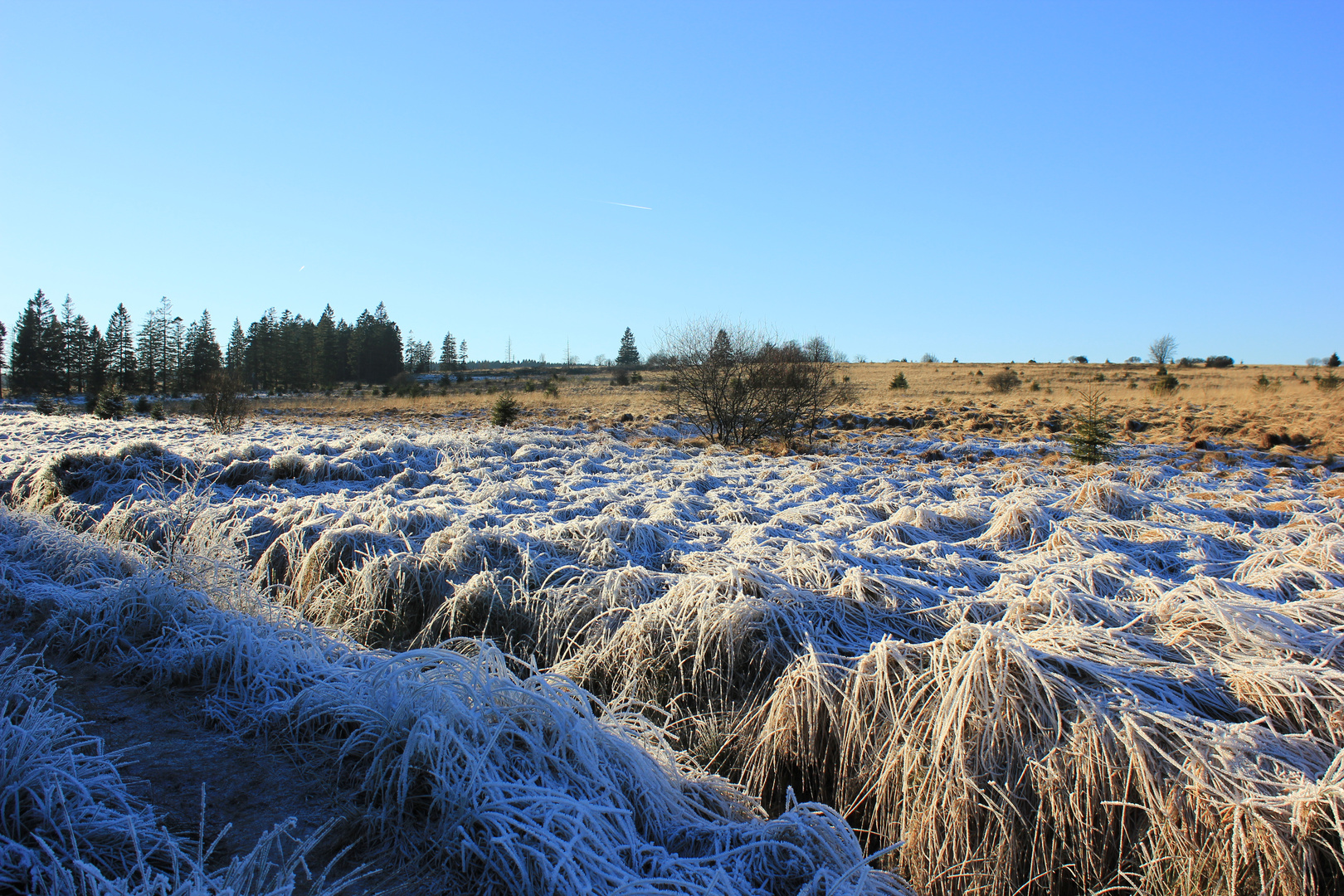 Winterwunderland