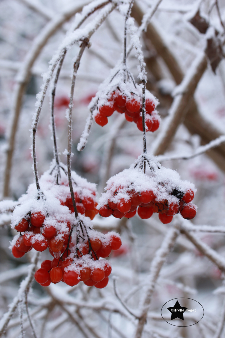 Winterwunderland :)