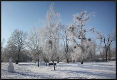 ...WinterWunderLand...