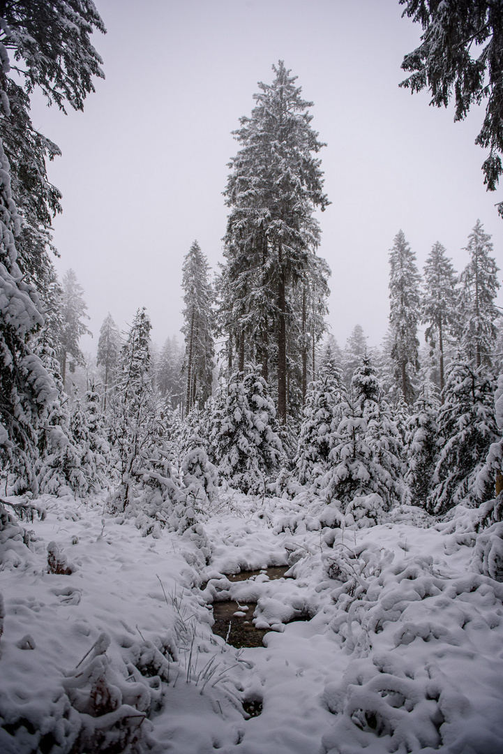 Winterwunderland