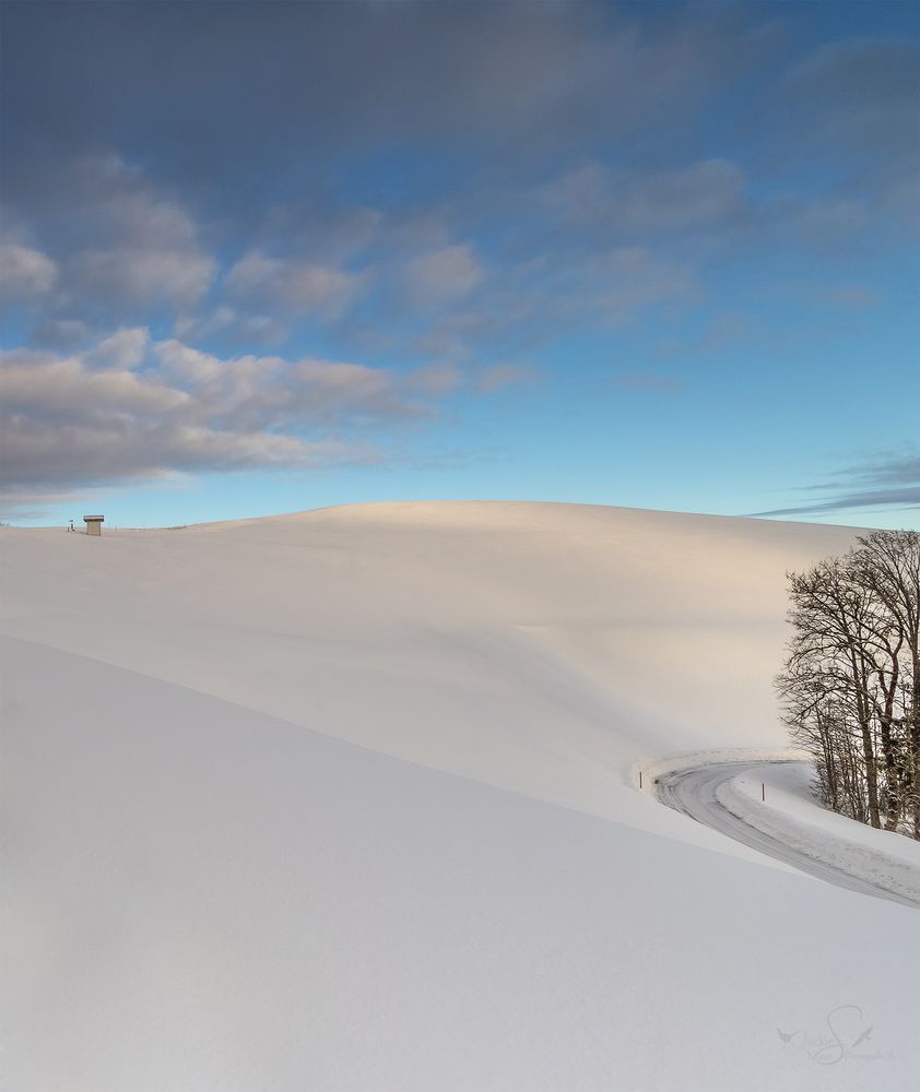  Winterwunderland * ° ` 