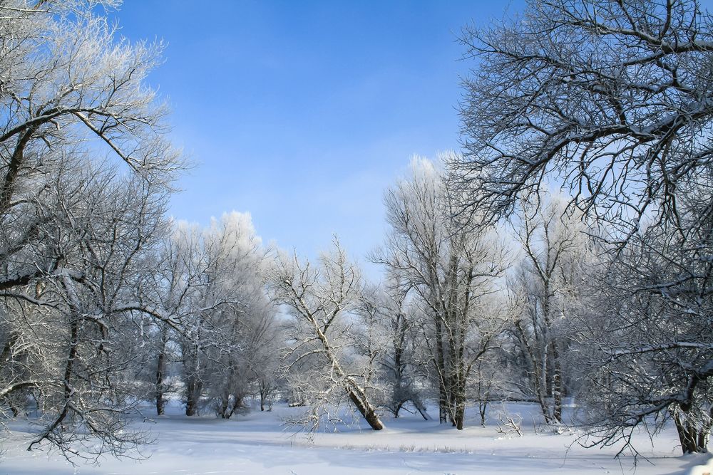 Winterwunderland