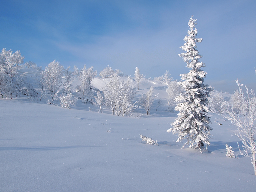 Winterwunderland von Wanderphotograph