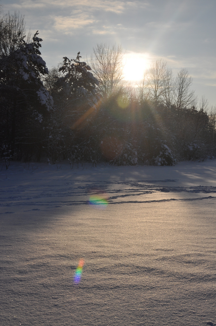 Winterwunderland