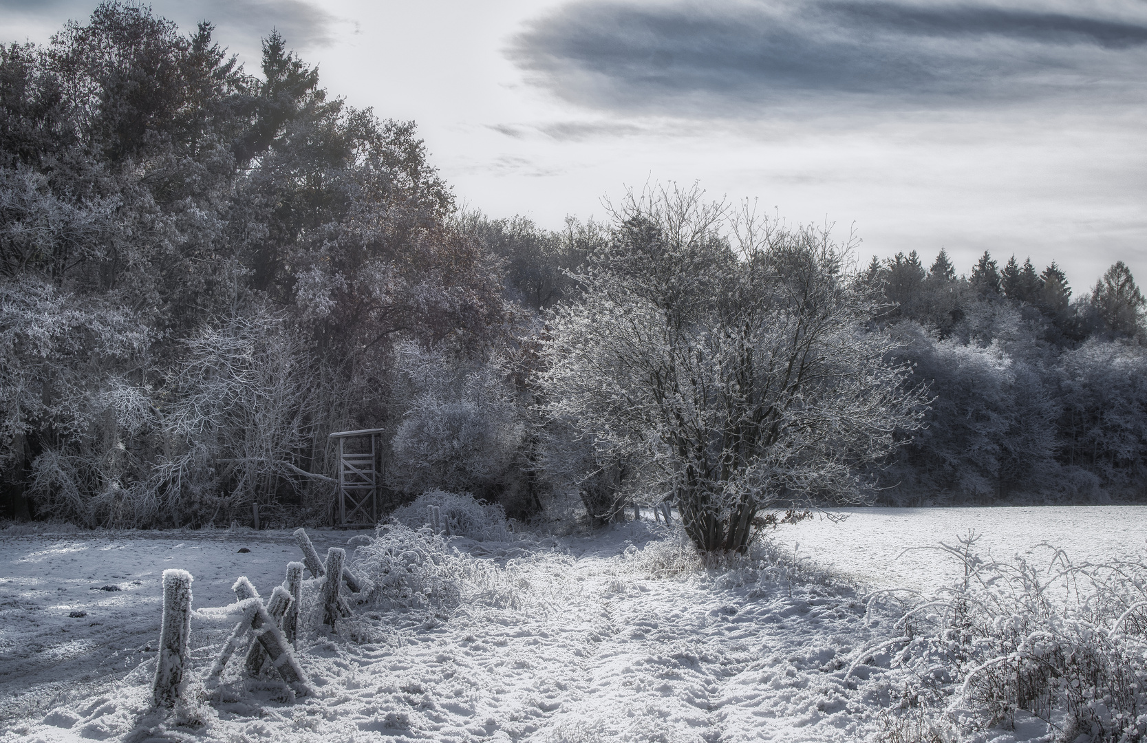 Winterwunderland