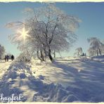 Winterwunderland