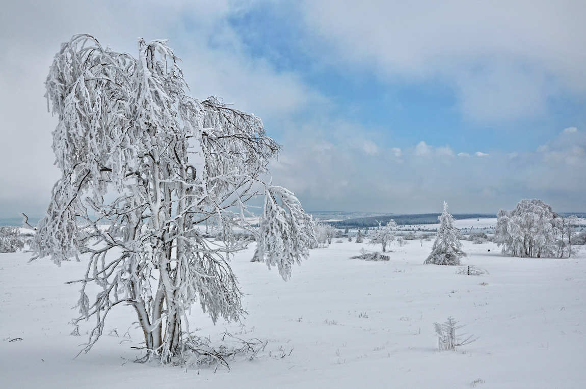 Winterwunderland