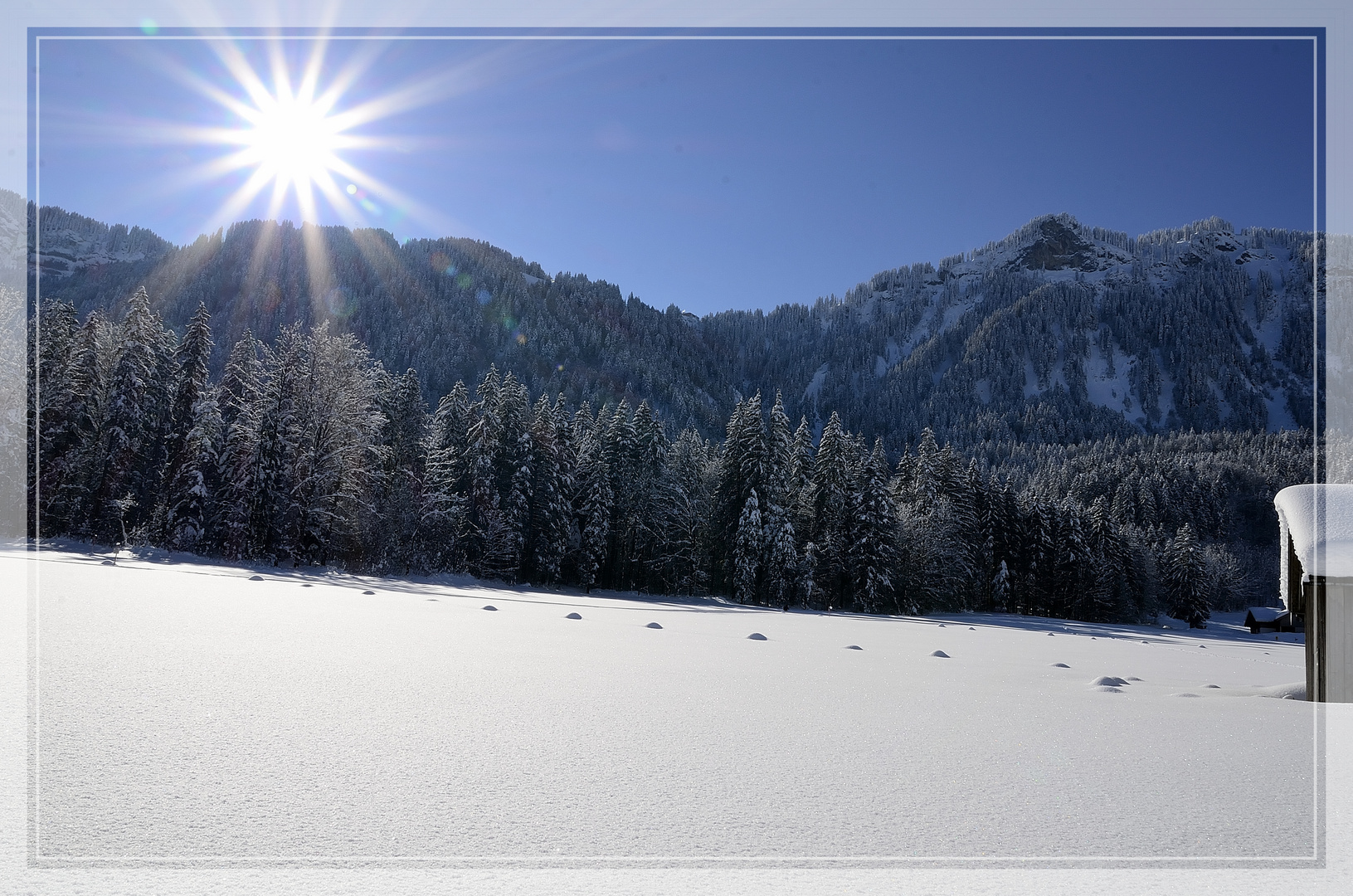 Winterwunderland