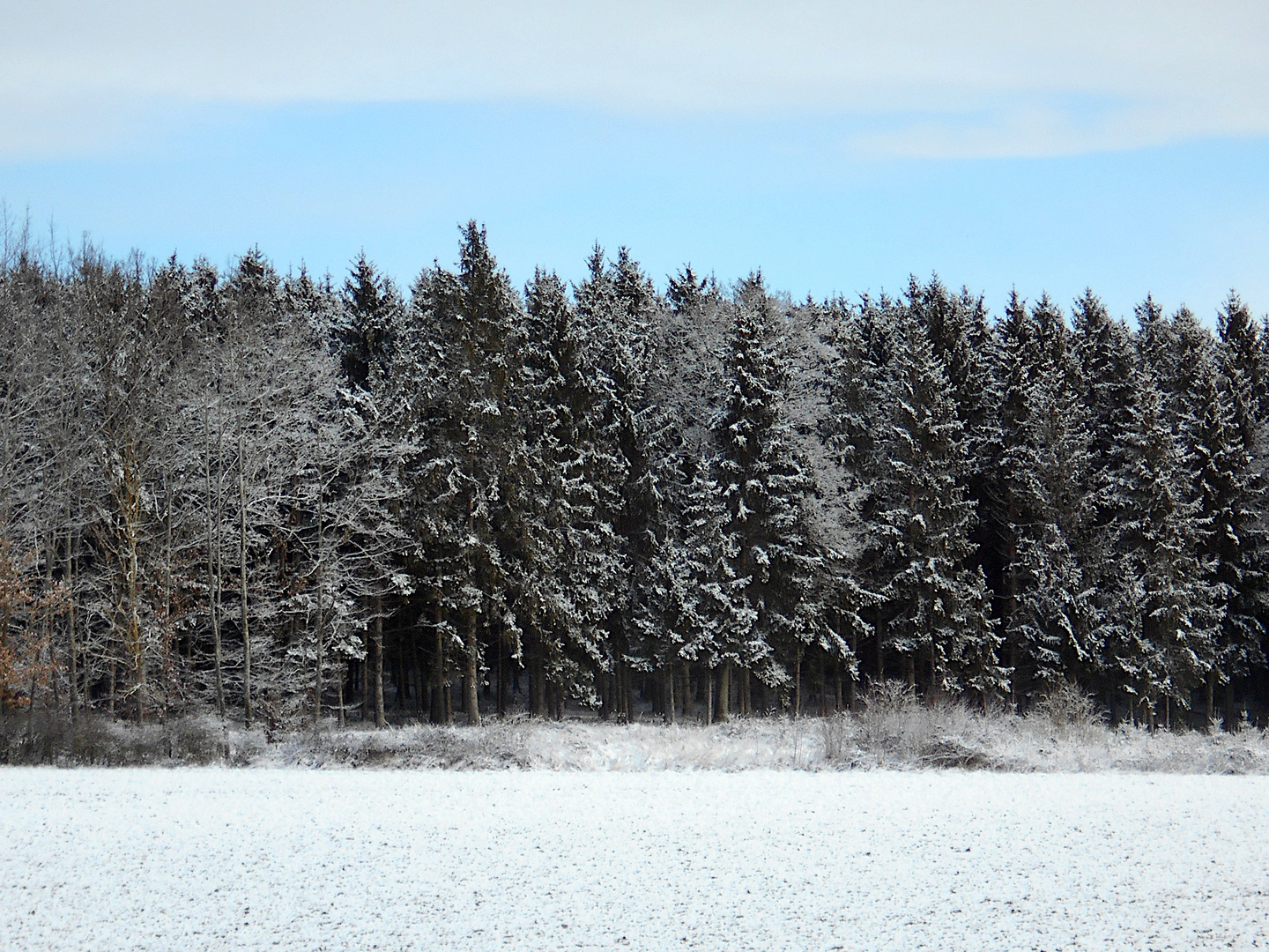 Winterwunderland