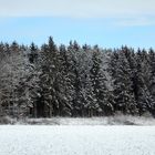 Winterwunderland