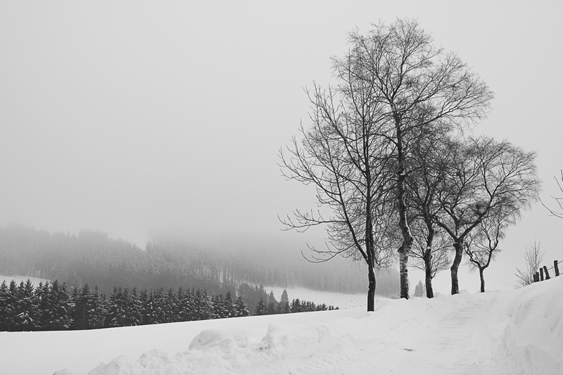 Winterwunderland...