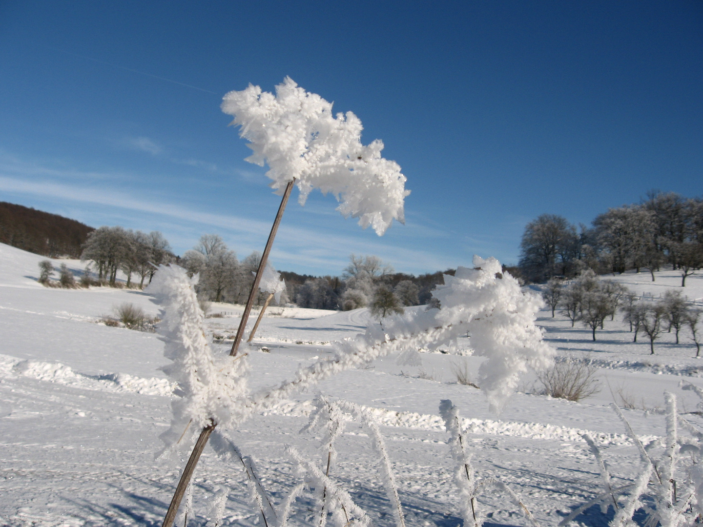 Winterwunderland