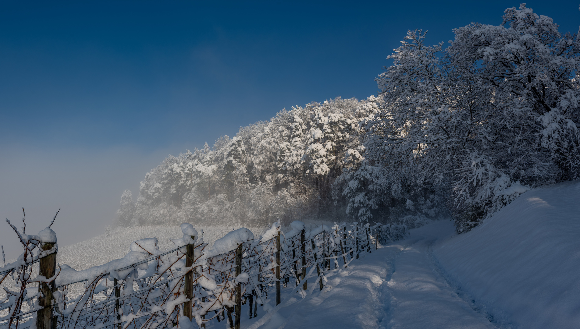 Winterwunderland 