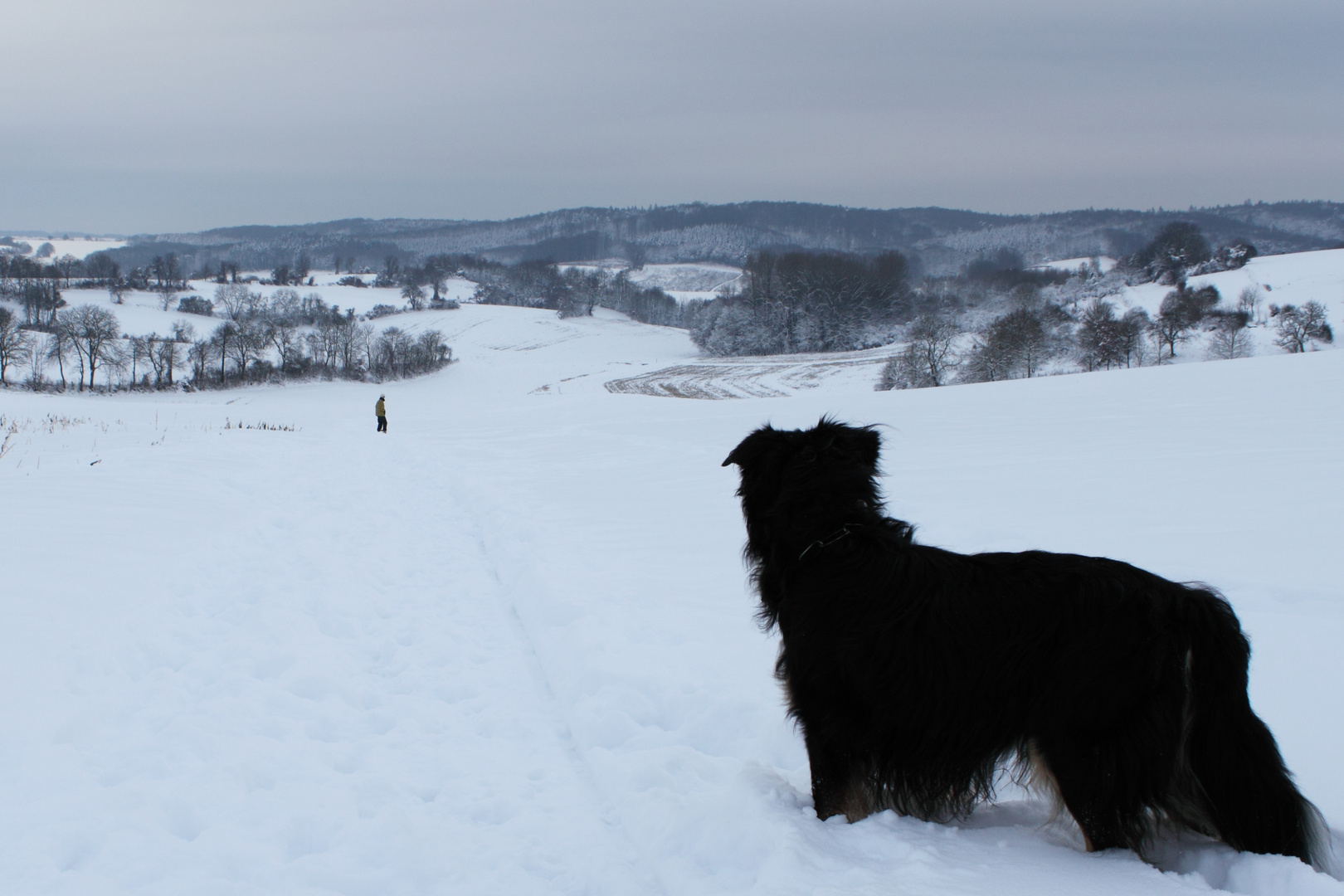 Winterwunderland