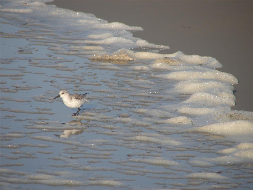 Winterwunderland