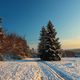 landschaft-winter