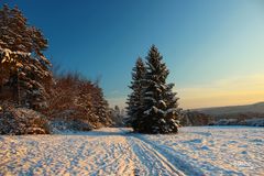 Winterwunderland