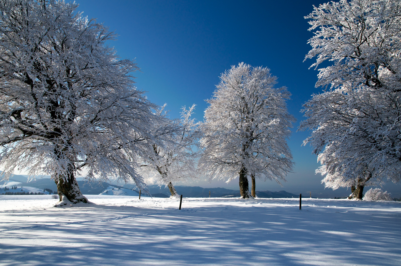 Winterwunderland