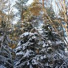 Winterwunderland