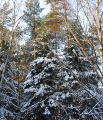 Winterwunderland