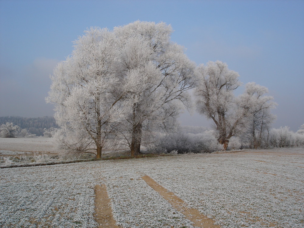 Winterwunderland