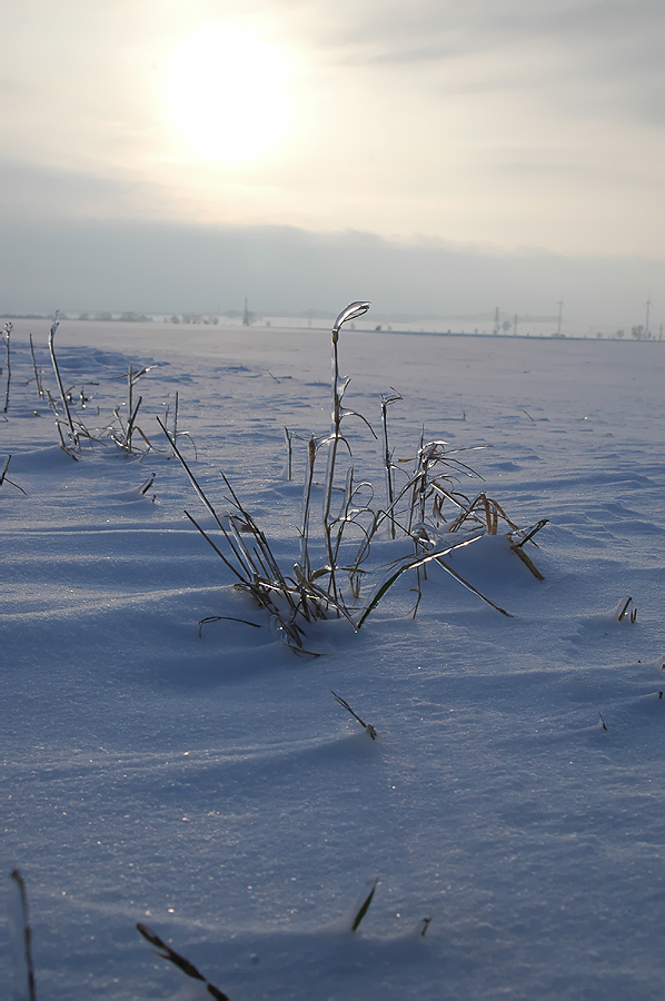 Winterwunderland