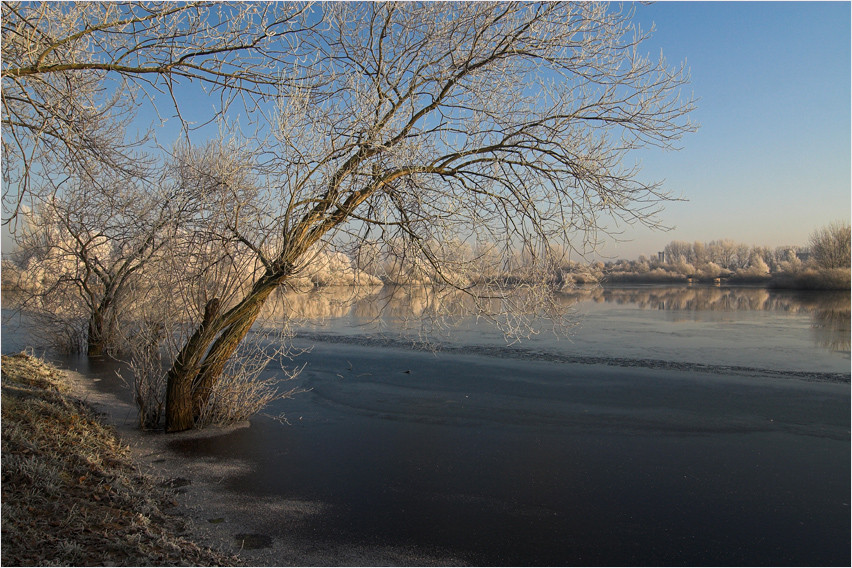 Winterwunderland von Hanne L.