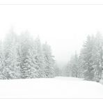 Winterwunderland