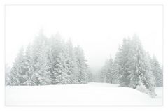 Winterwunderland