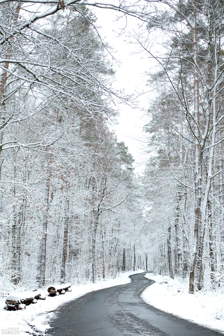 Winterwunderland