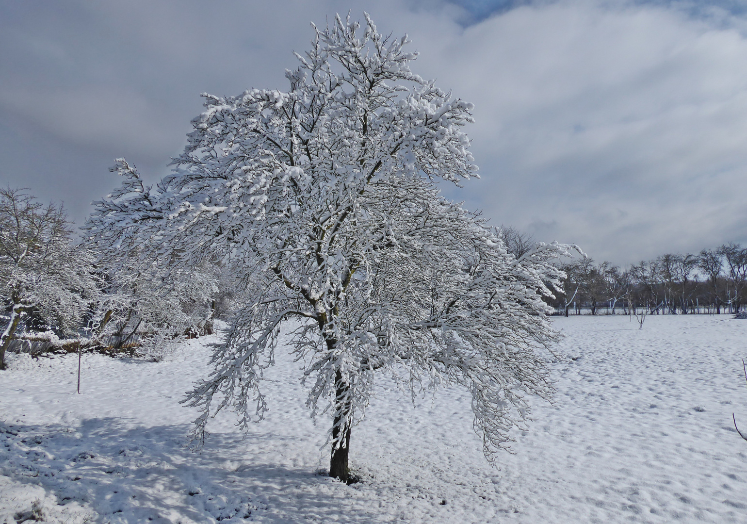 Winterwunderland