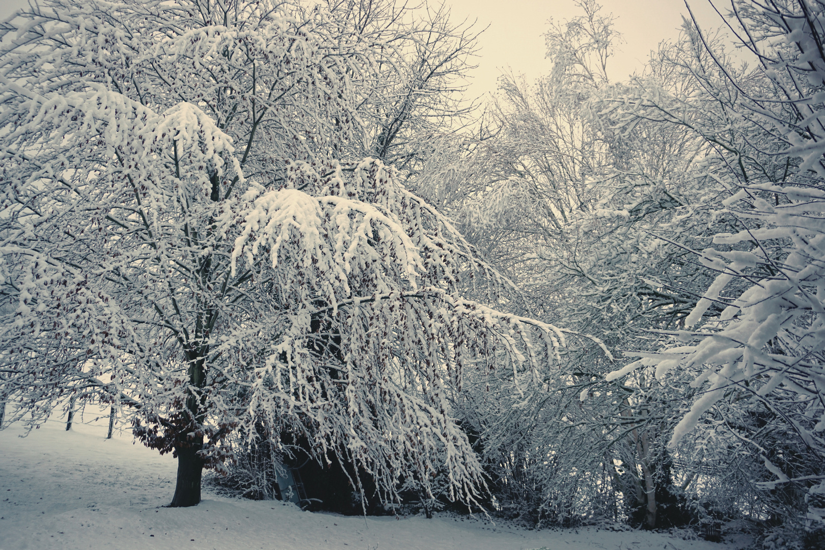 Winterwunderland