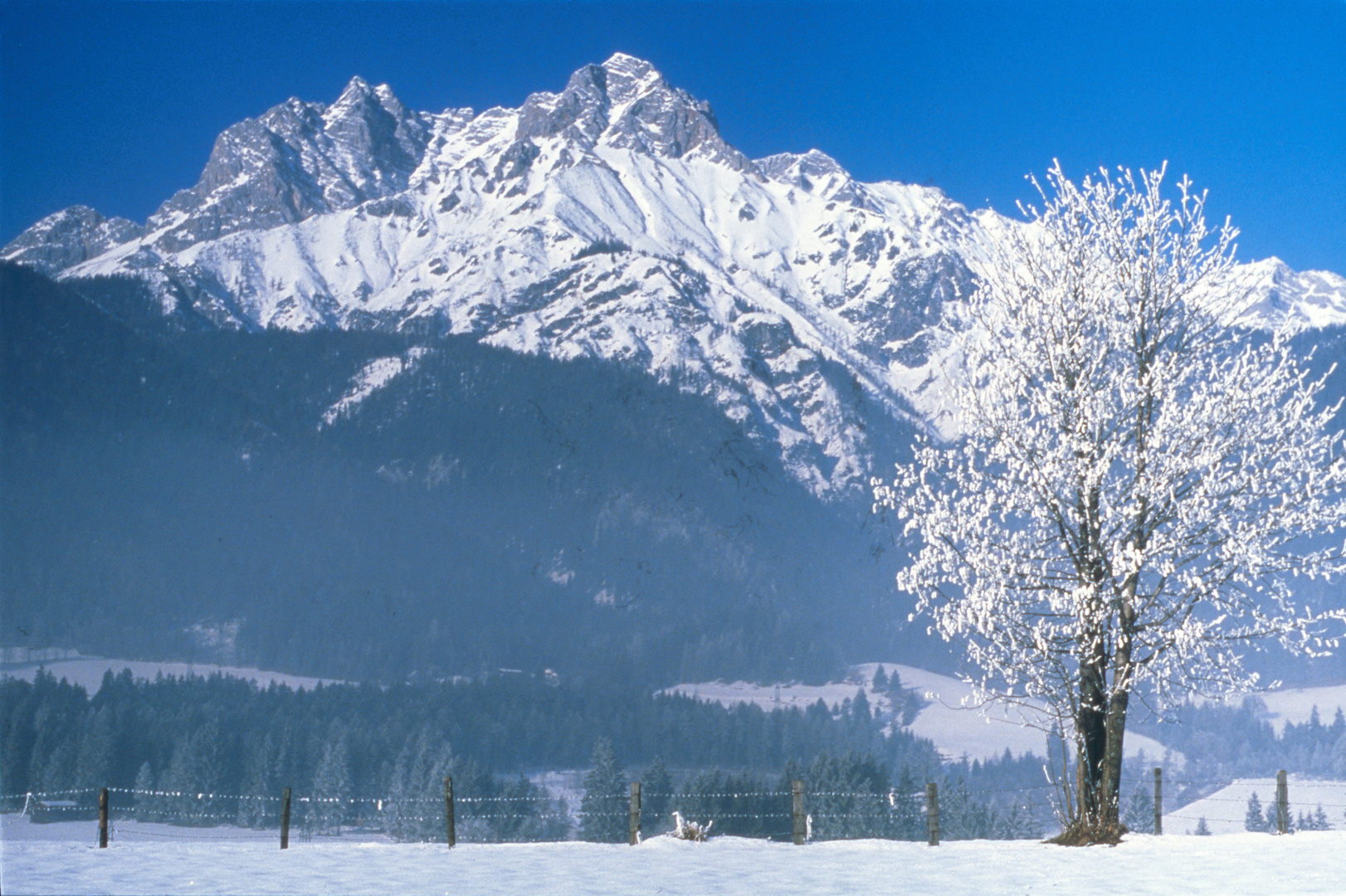 Winterwunderland am Kaisergebirge