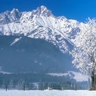 Winterwunderland am Kaisergebirge