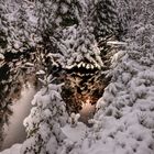 Winterwunderland.... am Reschbach im Nationalpark Bayerischer Wald