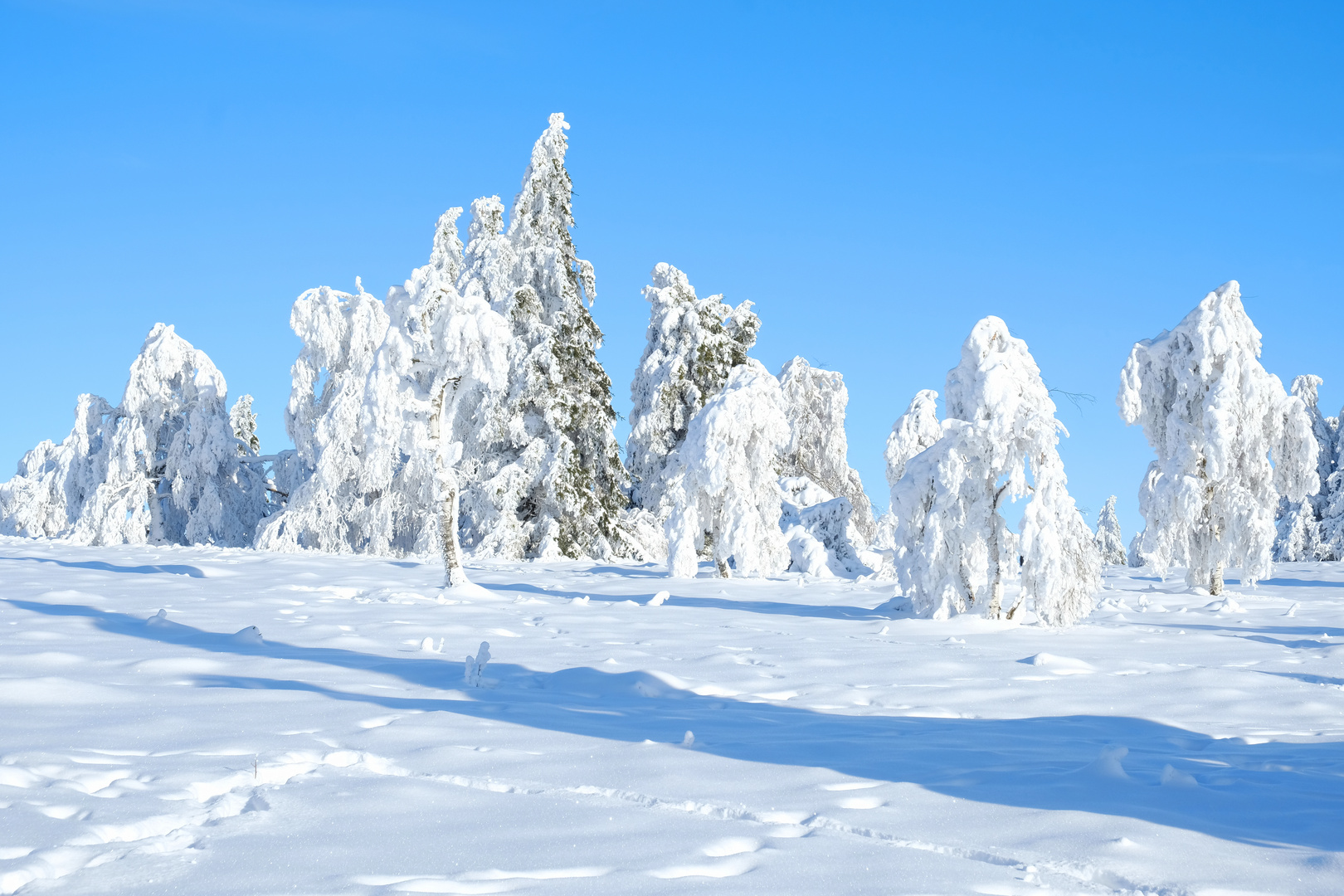 Winterwunderland auf dem Kahlen Asten