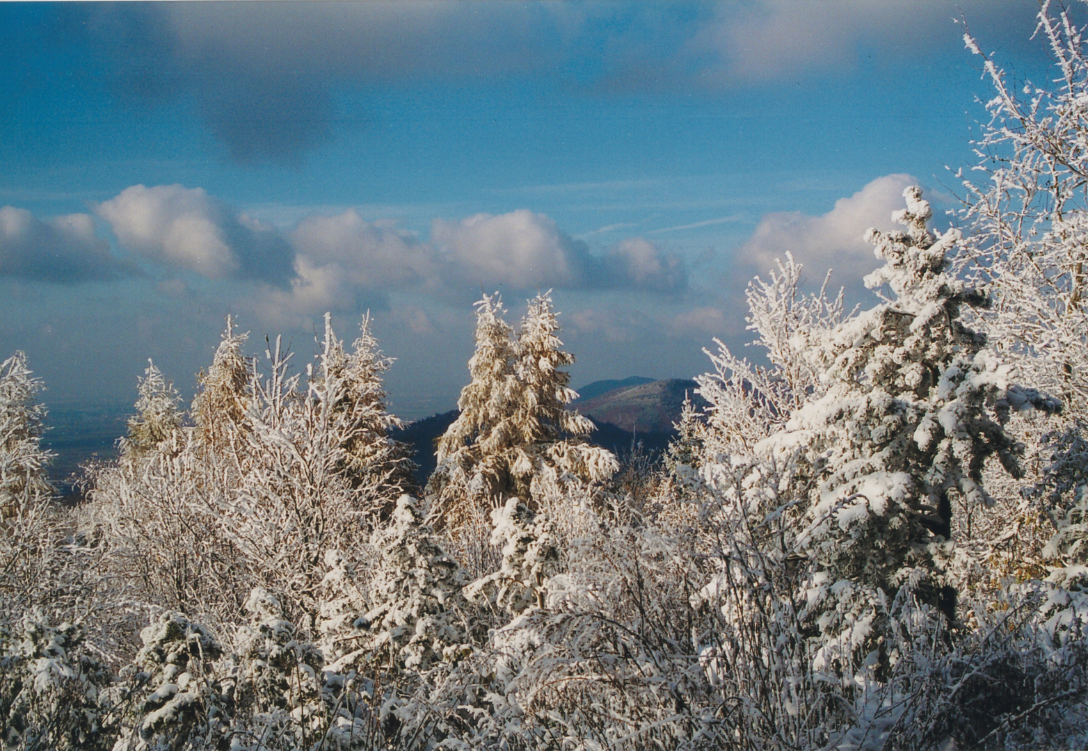 Winterwunderland auf dem Königstuhl