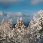 Winterwunderland auf dem Königstuhl