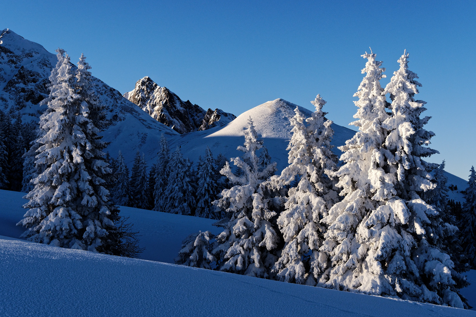 Winterwunderland