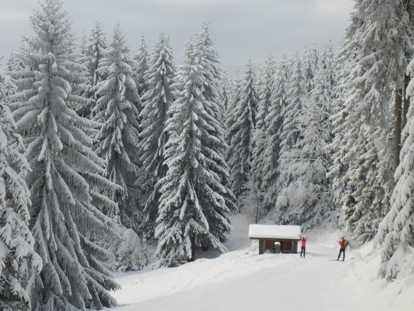 Winterwunderland