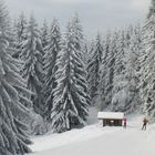 Winterwunderland