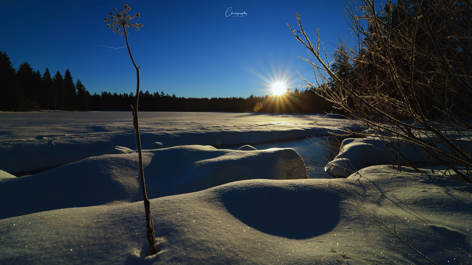 Winterwunderland