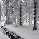 Winterwunderland