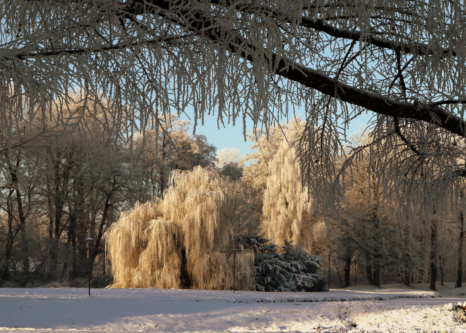 Winterwunderland