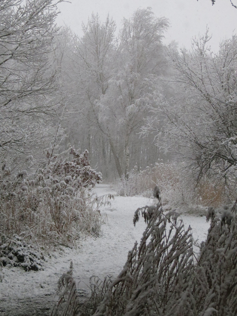 winterwunderland